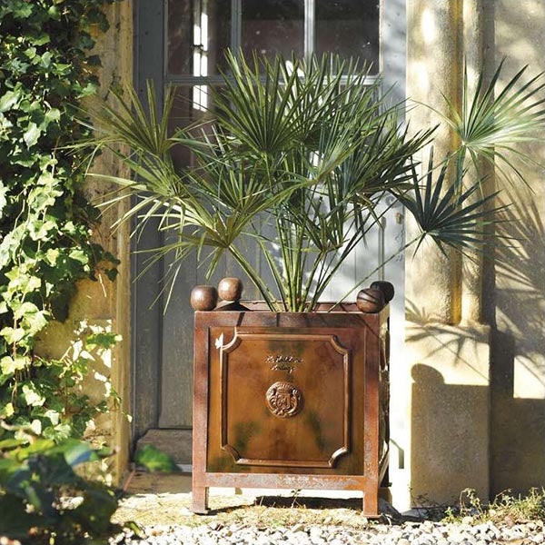 Citrus Planters
