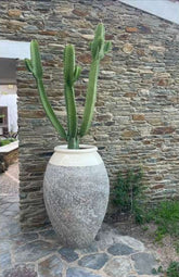 Biot Jars