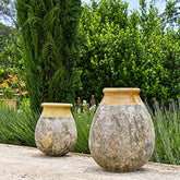 Biot Drope Shape