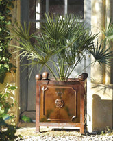 Orange Tree Bowl