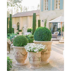 Tradition Vase