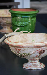 Fruits Prestige Bowl