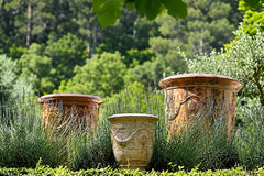 Tradition Vase